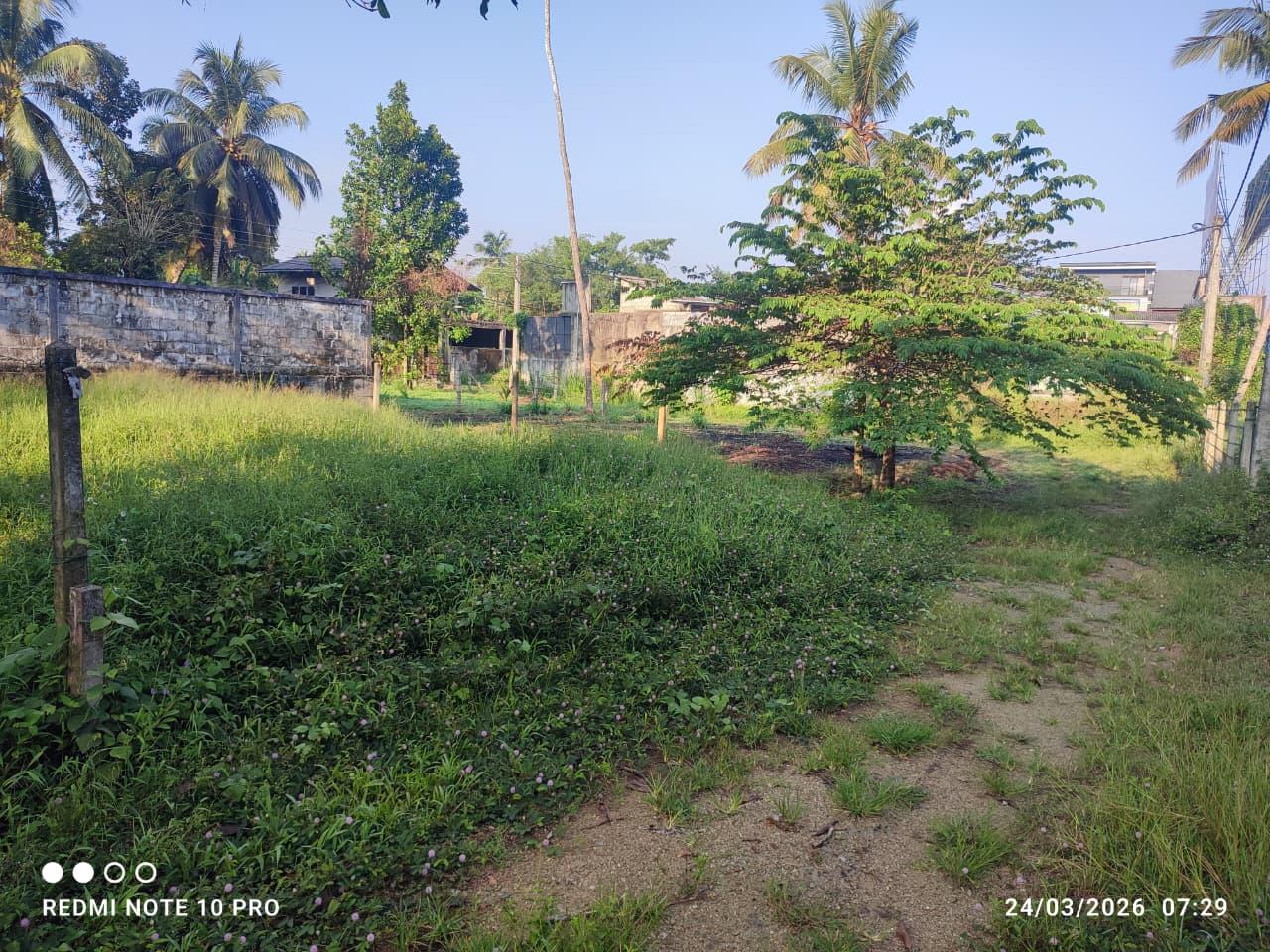 6 Perch Land for Sale | Yakkala, Colombo-Kandy Road