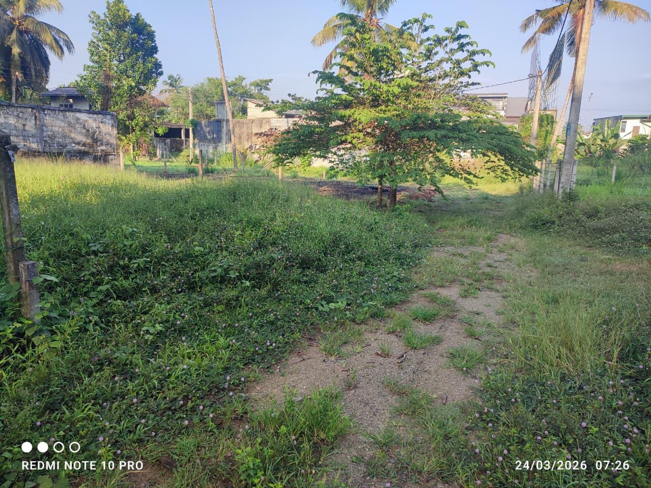 6 Perch Land for Sale | Yakkala, Colombo-Kandy Road