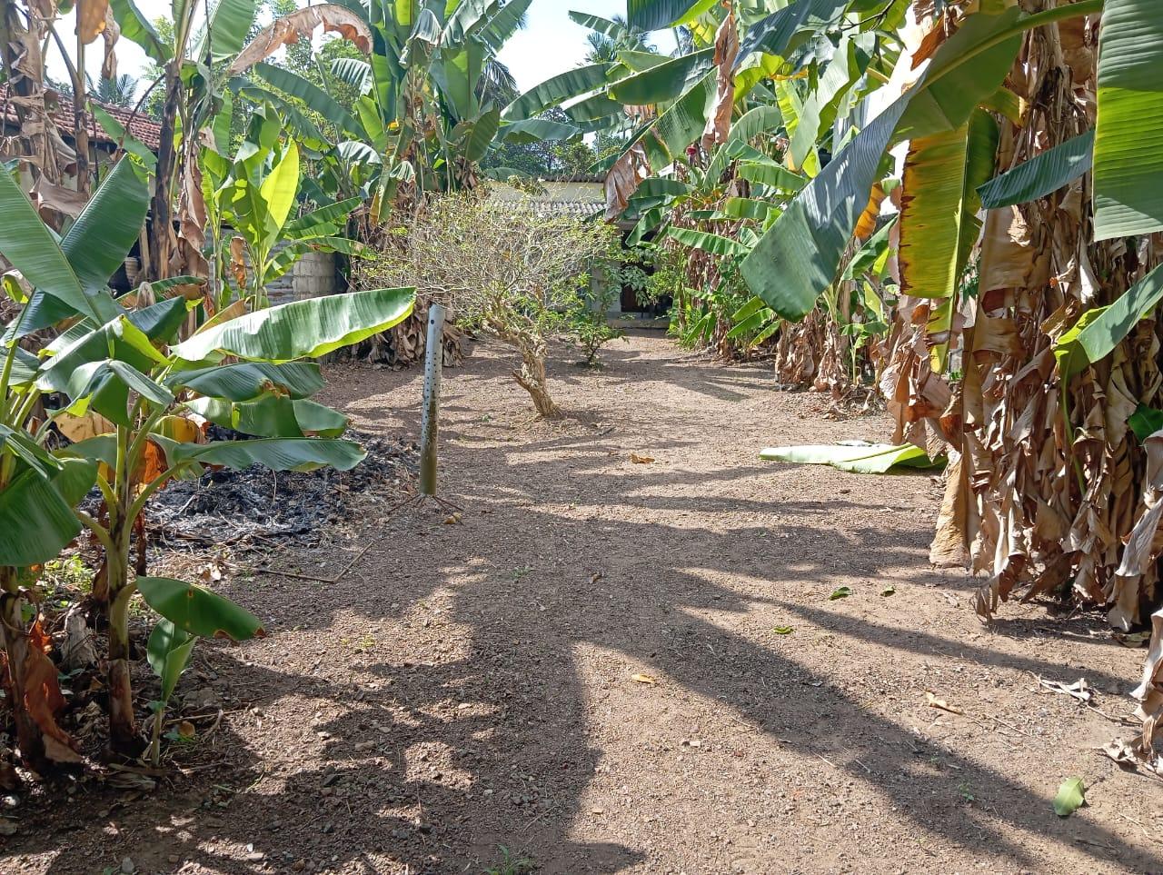 Prime Land for Sale in Batuwandara Junction – Ideal for Living or Investment!