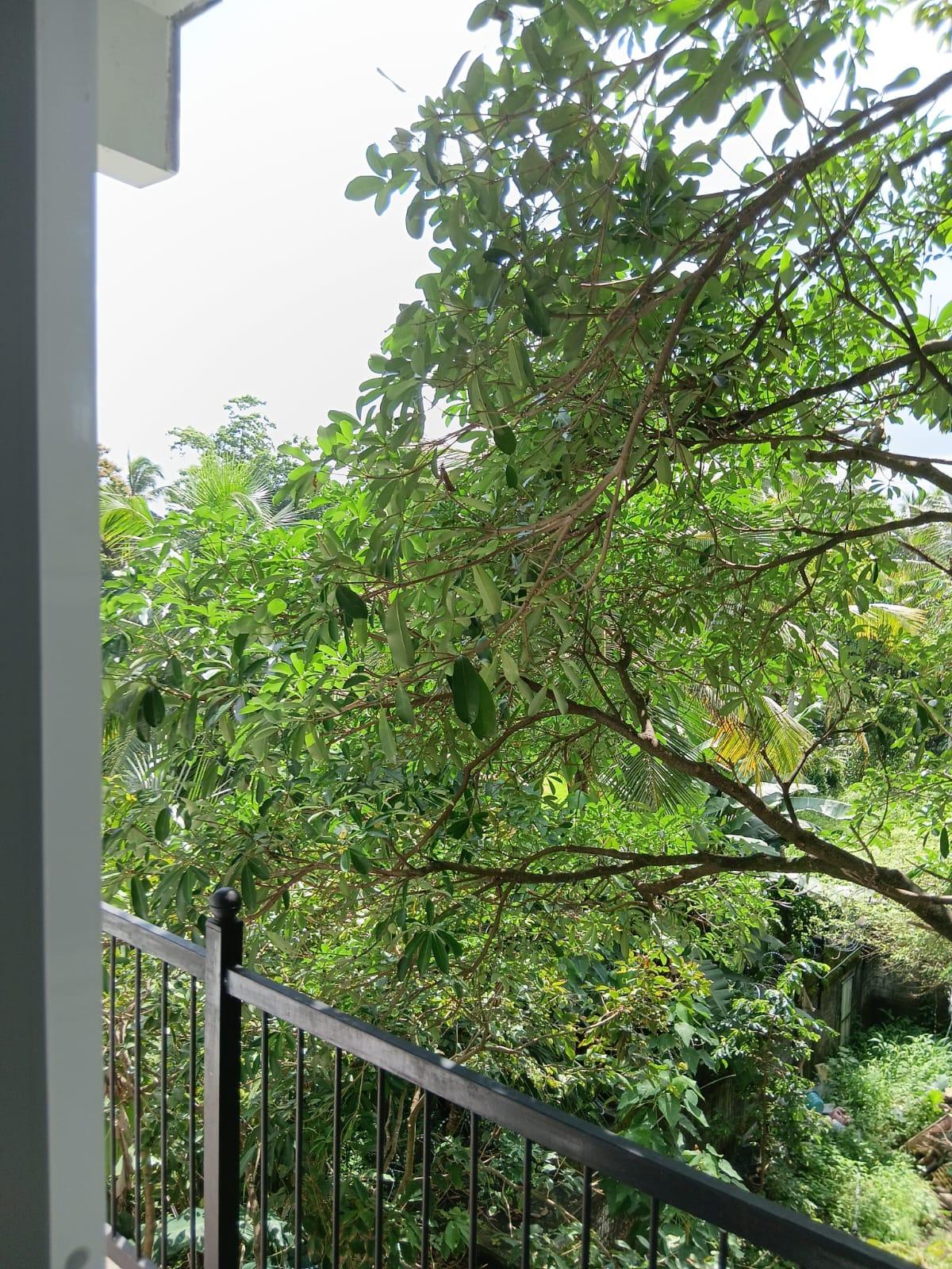 Brand new 3 Storied House (seperate 2 houses) for Sale or Rent in a Peaceful Residential area in Pannipitiya, Arawwala with a Green view.