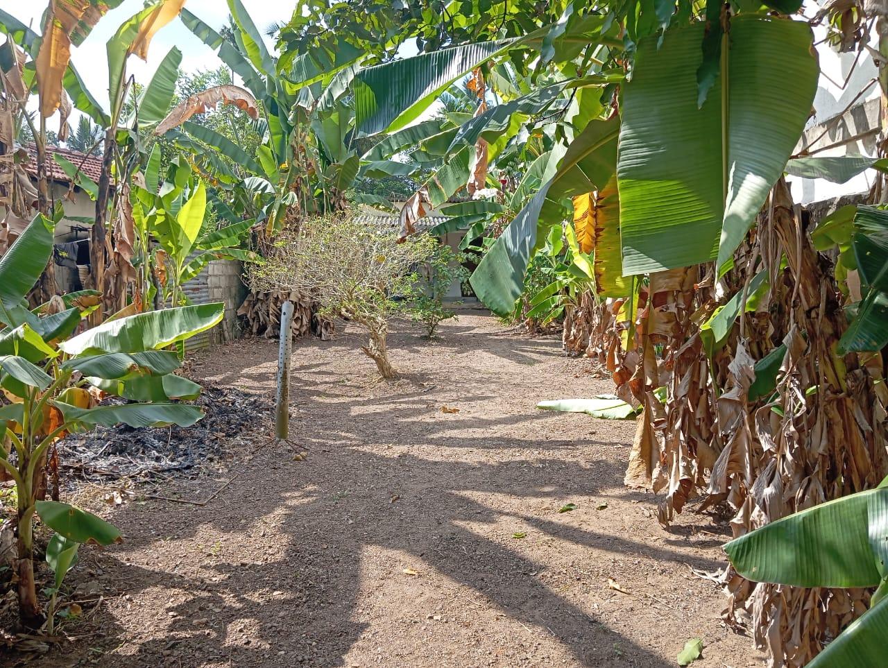 Prime Land for Sale in Batuwandara Junction – Ideal for Living or Investment!