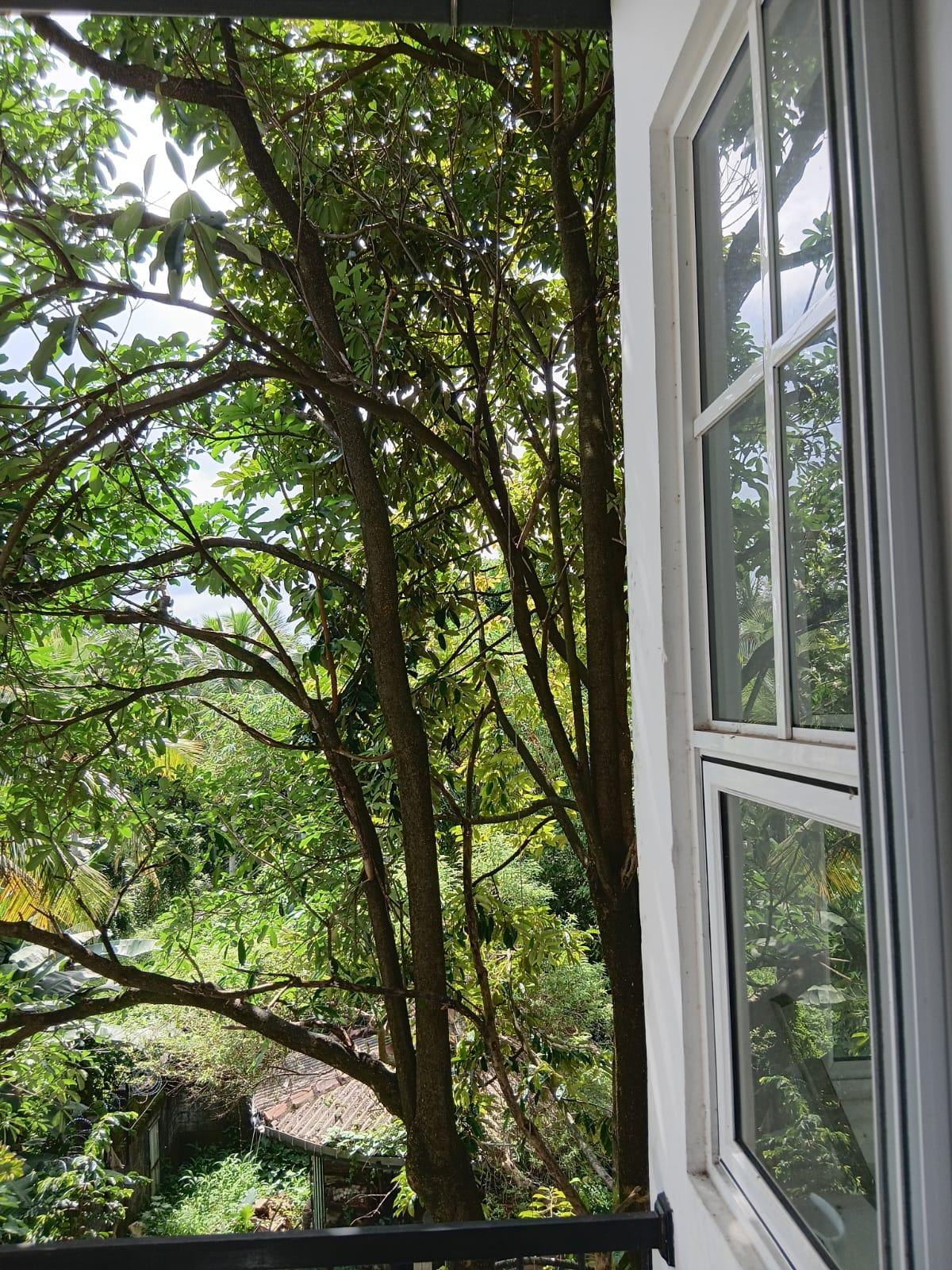 Brand new 3 Storied House (seperate 2 houses) for Sale or Rent in a Peaceful Residential area in Pannipitiya, Arawwala with a Green view.