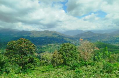 Land for Sale – Scenic Property in Hali Ela Area