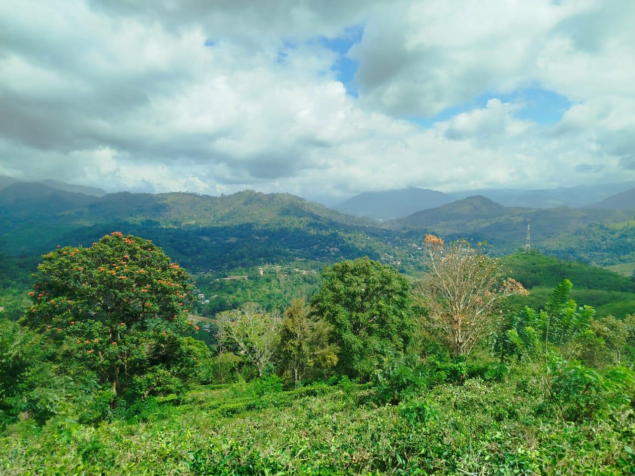 Land for Sale – Scenic Property in Hali Ela Area