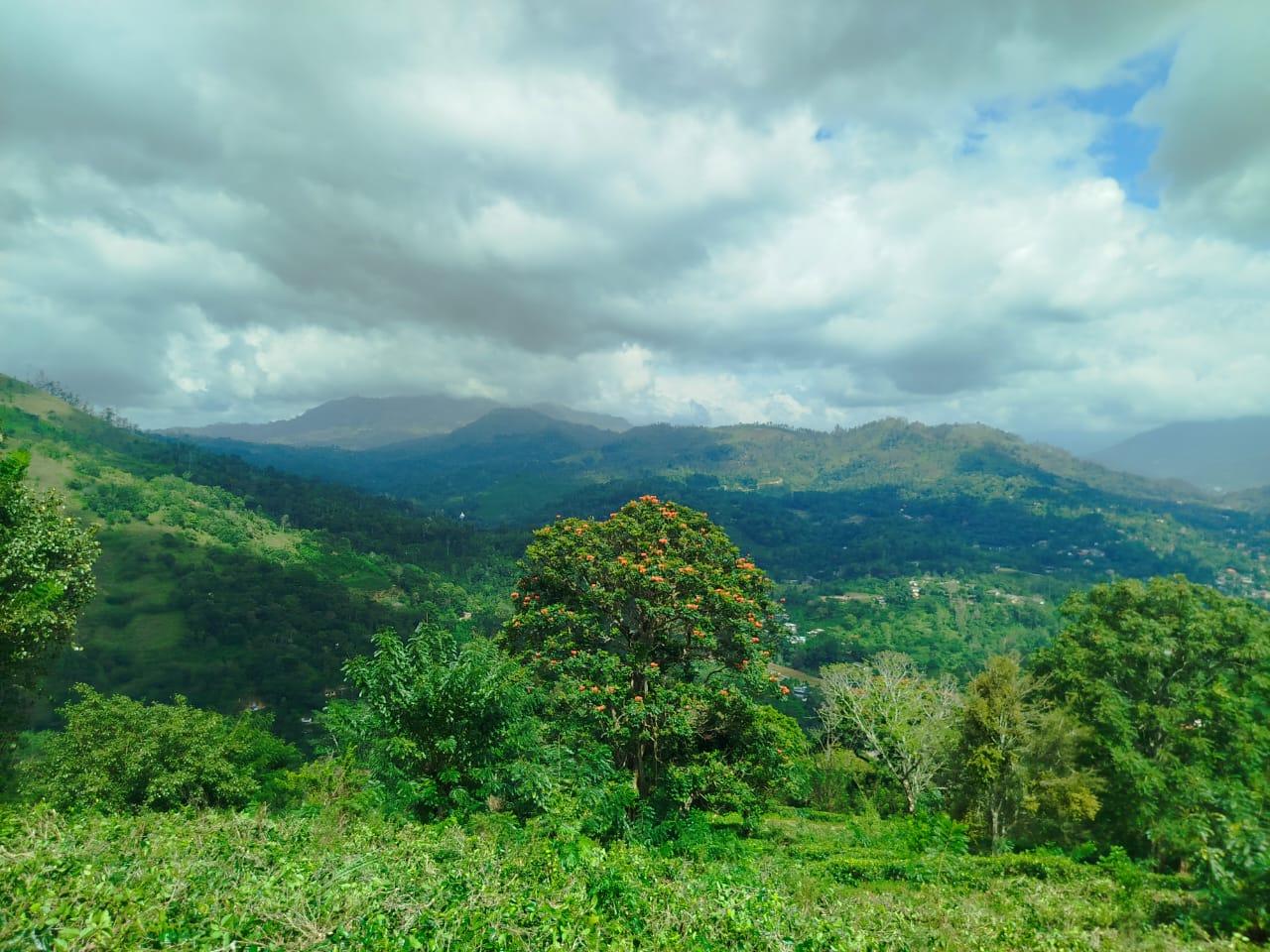 Land for Sale – Scenic Property in Hali Ela Area