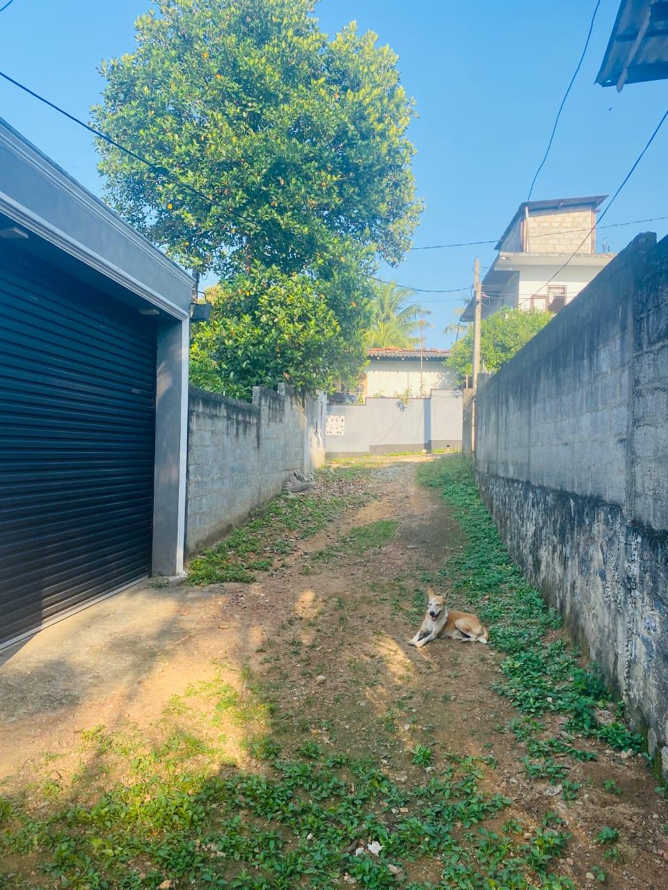 Prime 16 Perch Land for Sale Near Colombo – Batuwandara, Kasbawa with Water & Electricity – Urgent Sale!