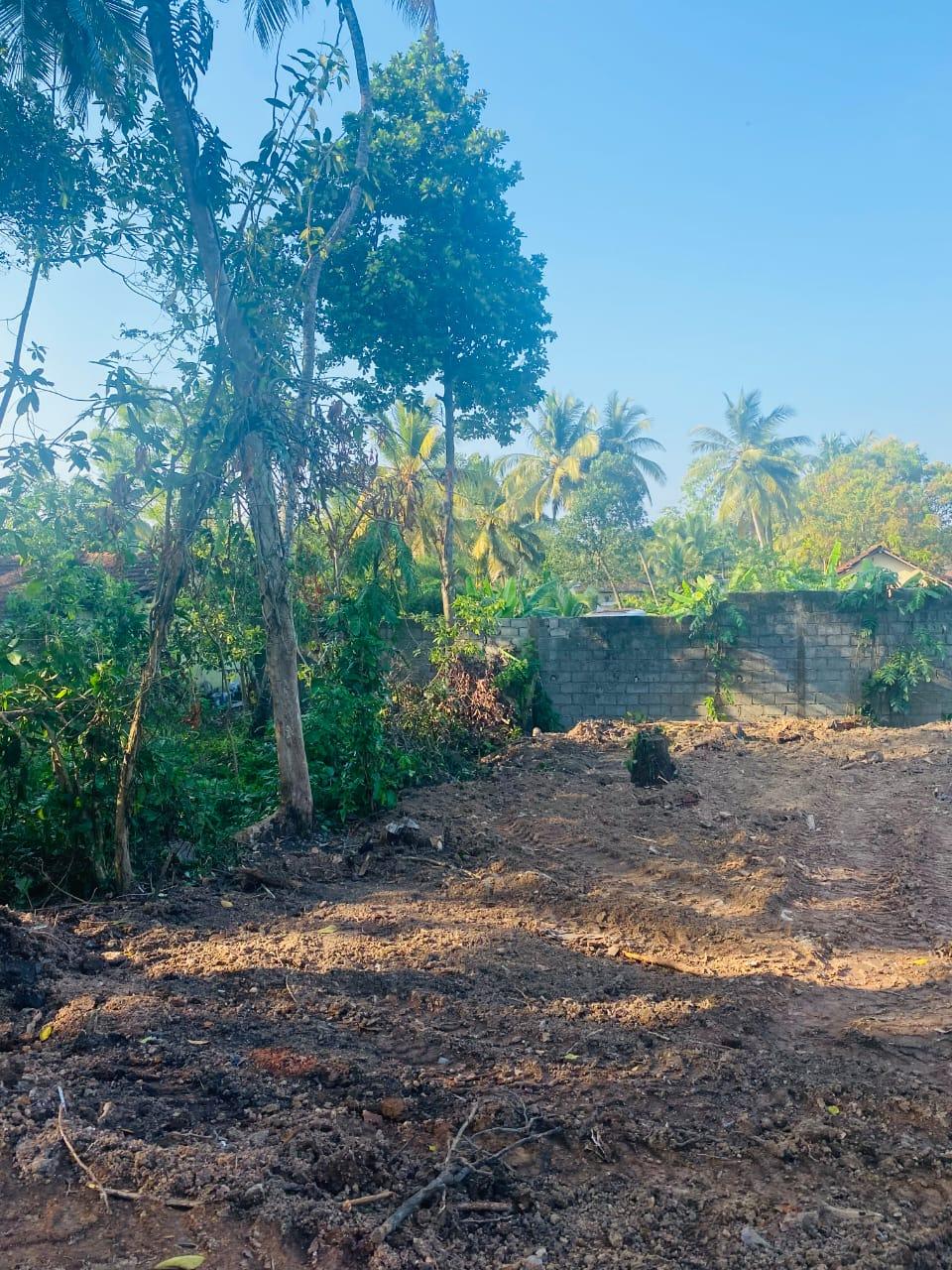 Prime 16 Perch Land for Sale Near Colombo – Batuwandara, Kasbawa with Water & Electricity – Urgent Sale!