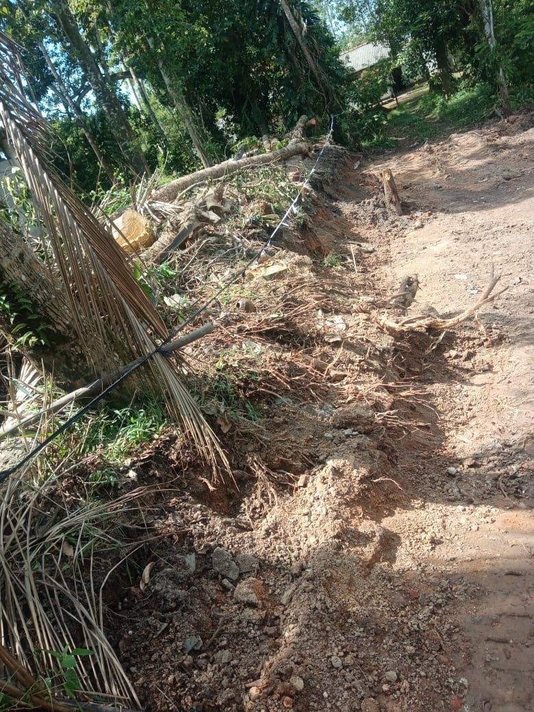 Prime 16 Perch Land for Sale Near Colombo – Batuwandara, Kasbawa with Water & Electricity – Urgent Sale!