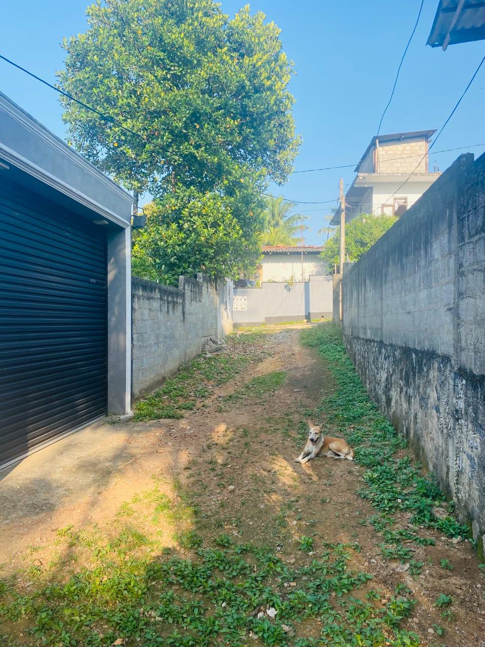 Prime 16 Perch Land for Sale Near Colombo – Batuwandara, Kasbawa with Water & Electricity – Urgent Sale!