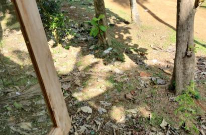 Prime 16 Perch Land for Sale Near Colombo – Batuwandara, Kasbawa with Water & Electricity – Urgent Sale!