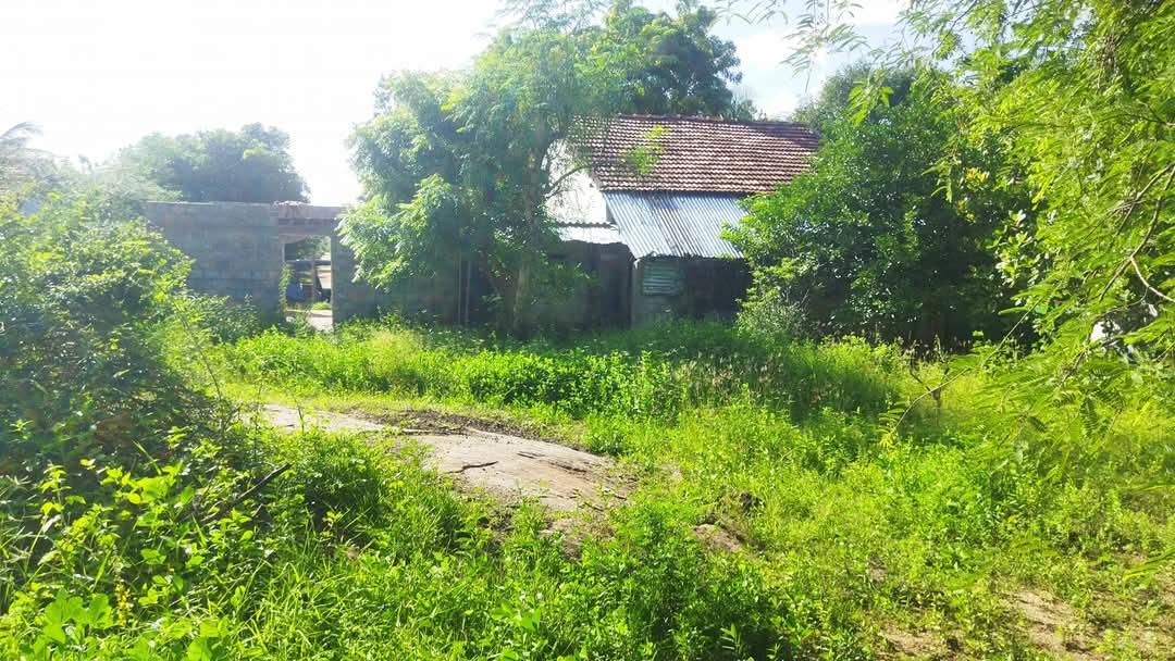 16 Perch Land with 2-Bedroom House for Sale Near Hasanath Jumma Mosque in Naduootru, Kinniya