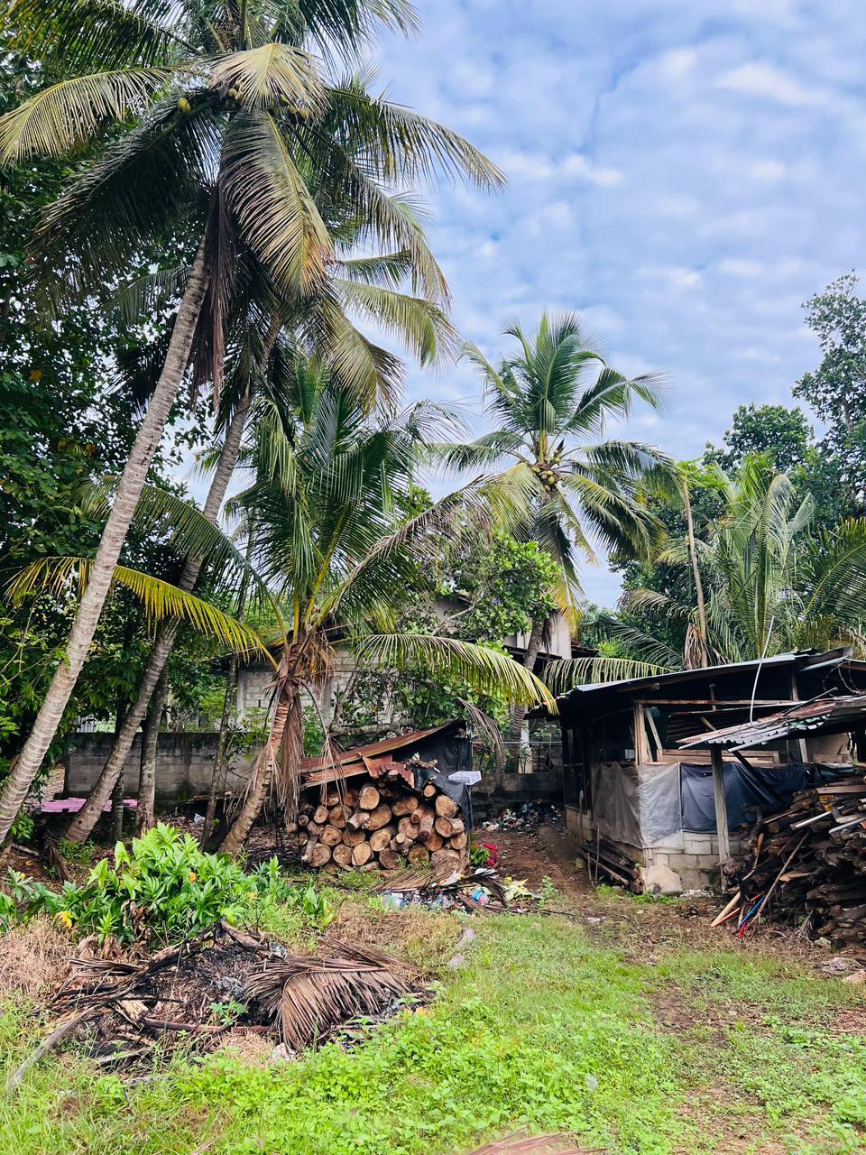 5-Bedroom House with Land & Paddy Field for Sale | Kurunegala