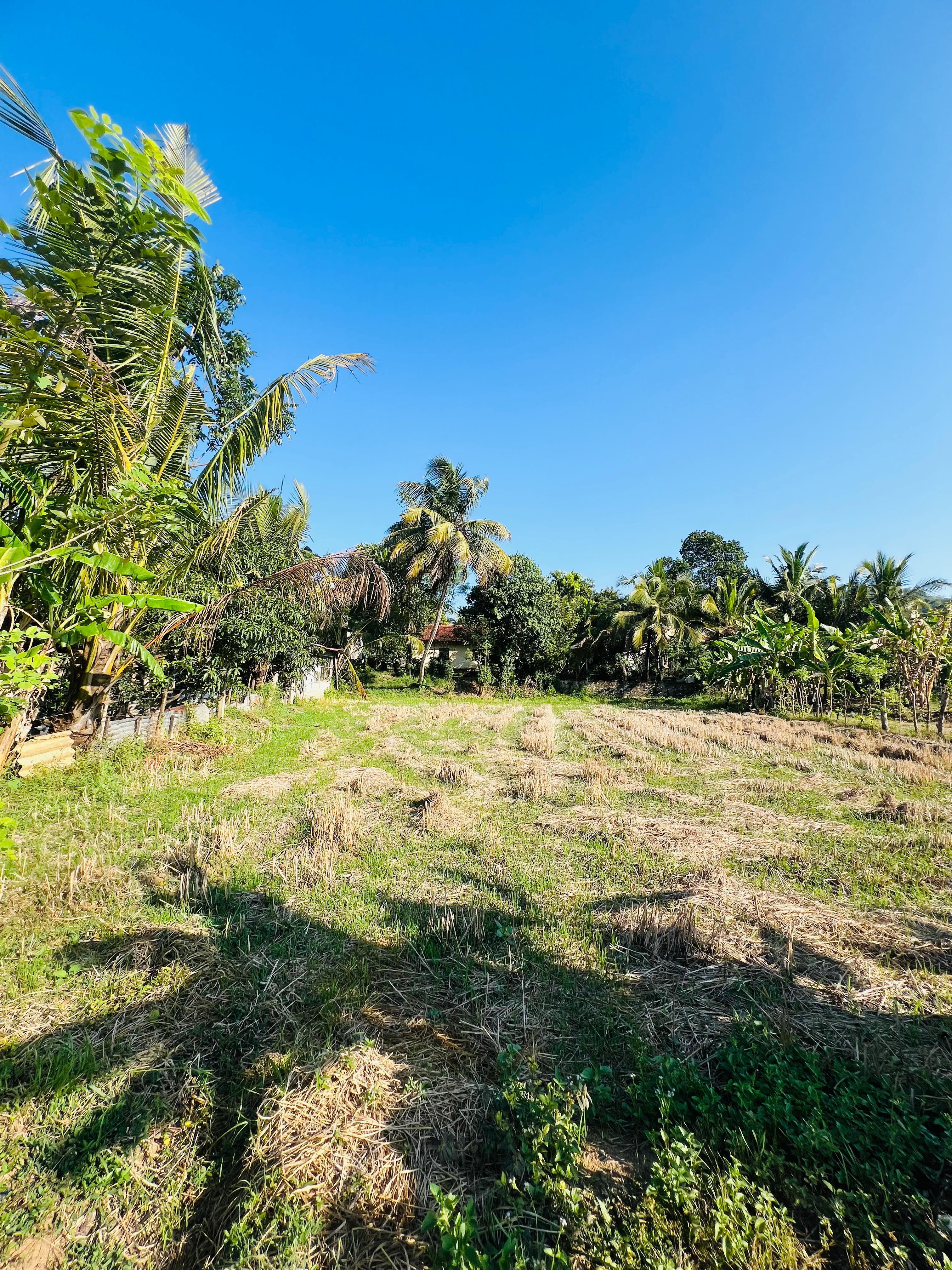 5-Bedroom House with Land & Paddy Field for Sale | Kurunegala