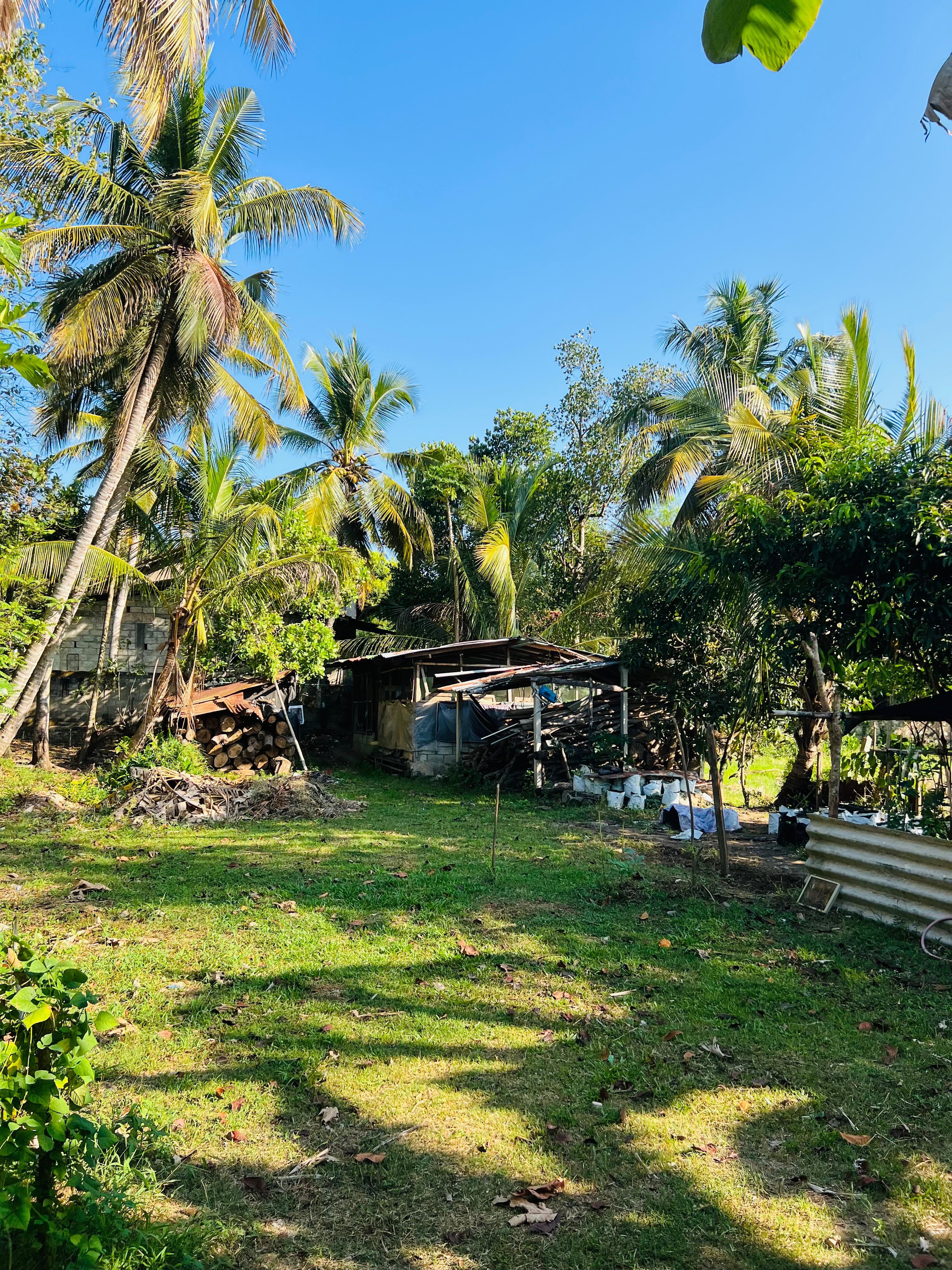 5-Bedroom House with Land & Paddy Field for Sale | Kurunegala