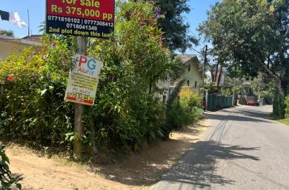 Bare Land for Sale in Pilimathalawa