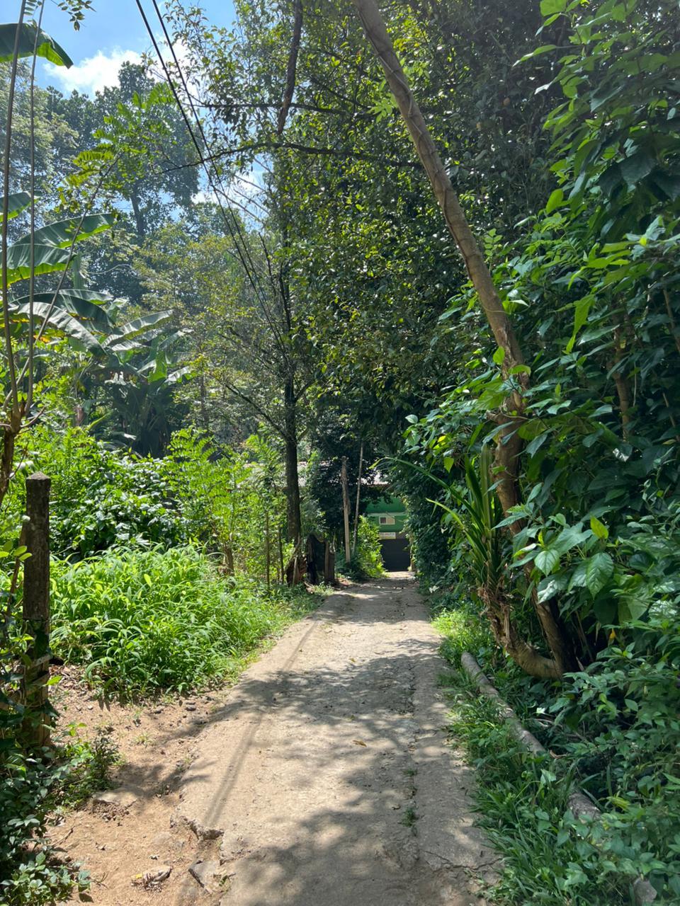 Bare Land for Sale in Pilimathalawa