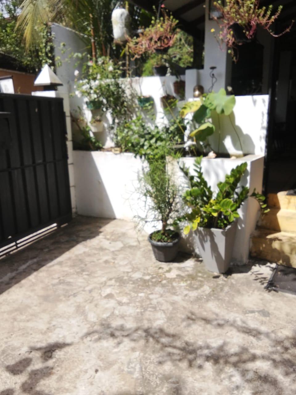 Fully Solar 3 Bedroom Country-Style House for Sale on 23 Perches