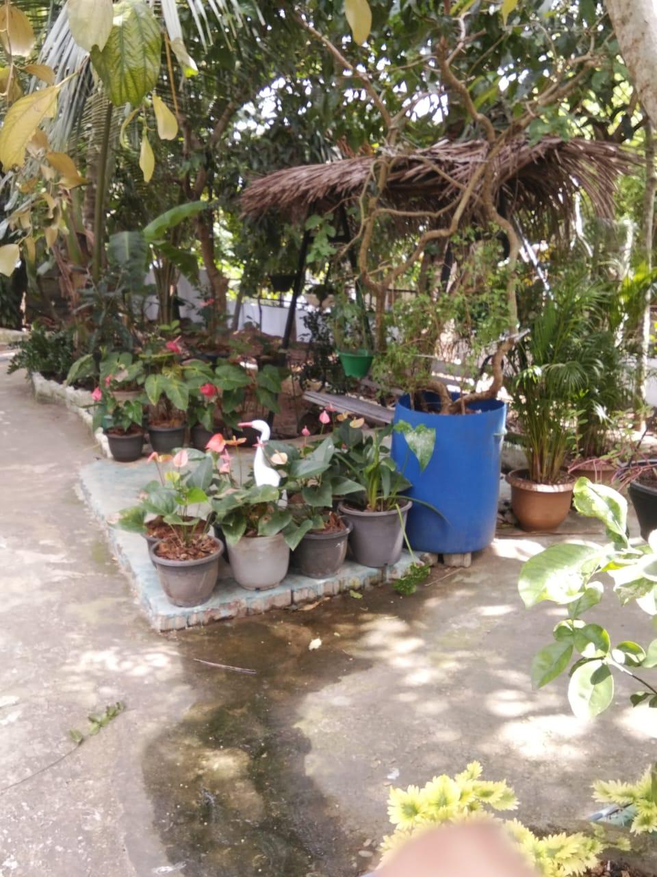 Fully Solar 3 Bedroom Country-Style House for Sale on 23 Perches