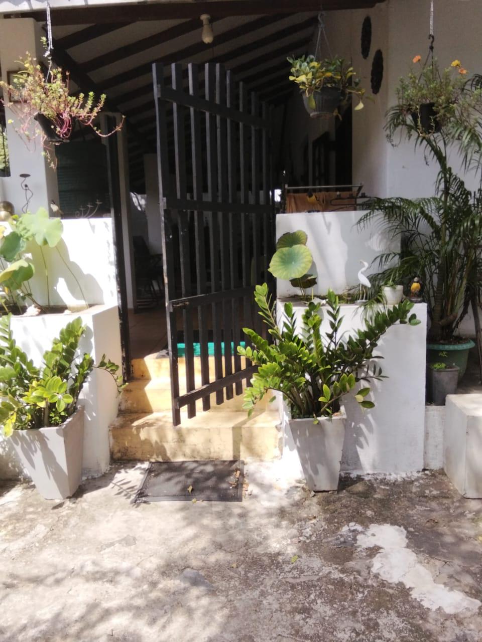 Fully Solar 3 Bedroom Country-Style House for Sale on 23 Perches