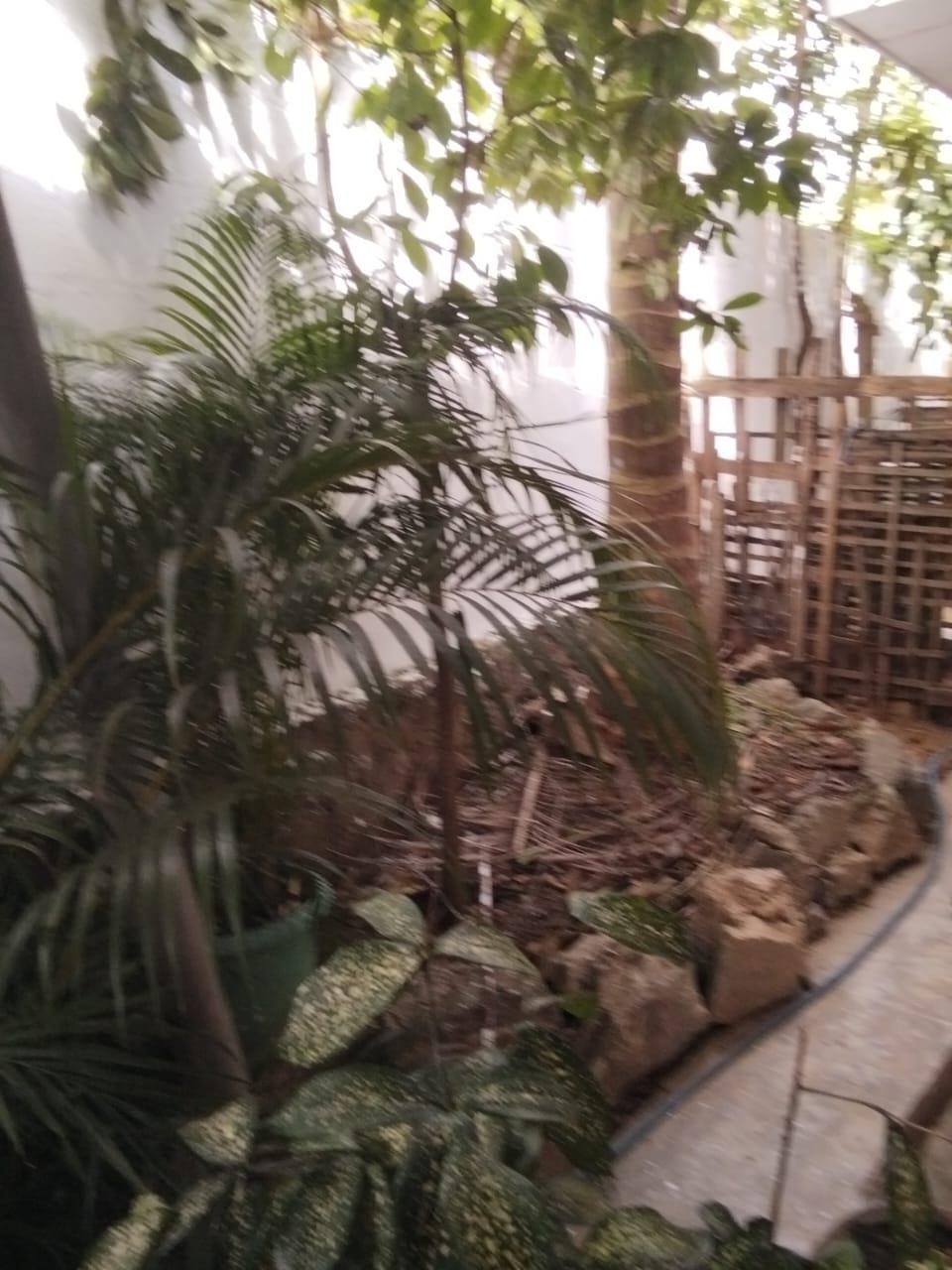 Fully Solar 3 Bedroom Country-Style House for Sale on 23 Perches