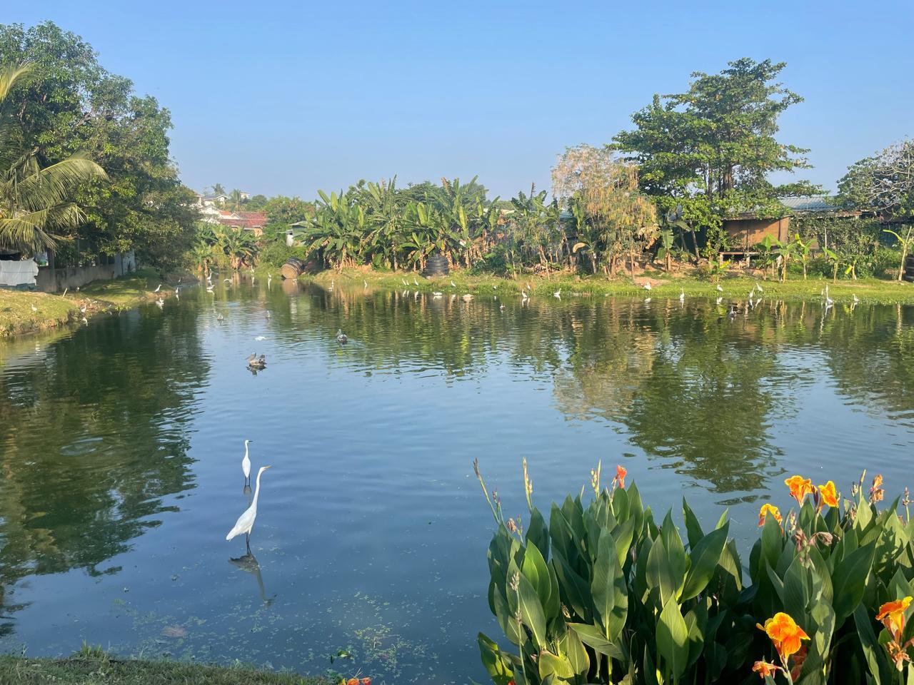 Luxury 4 Bedroom House for Sale in Pelawatte, Battaramulla