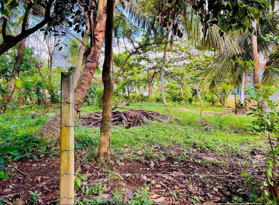 15 Perch Land for Sale in Waskaduwa – 50m to Galle Road