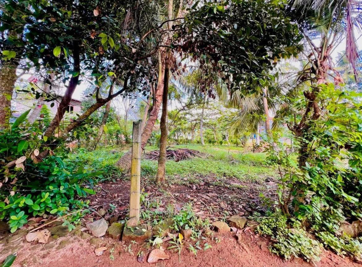 15 Perch Land for Sale in Waskaduwa – 50m to Galle Road