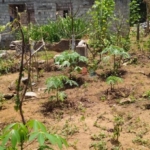 PHOTO 2021 02 23 16 28 27 760x410 1