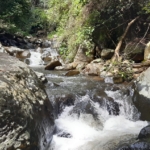 3aac0e01 5be6 4da8 b6a3 4e382ed39836