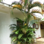 58685708 5bd3 42c4 8b0e b9fe672e0379