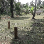 86e1f891 87f4 4c84 b977 78b1b2a4ed16