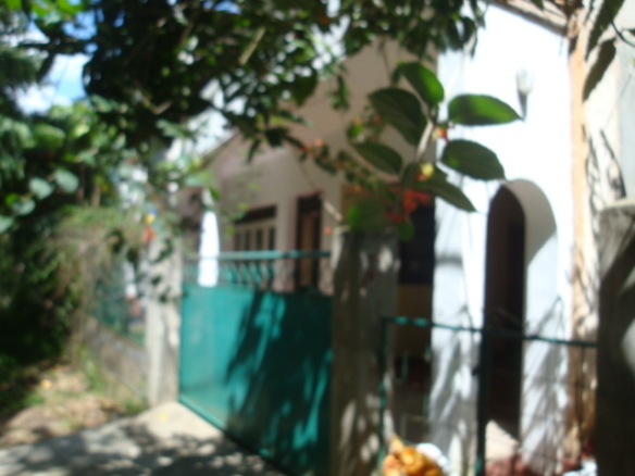 DSC012481204