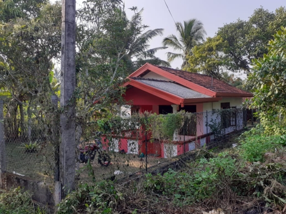 WhatsApp Image 2021 03 16 at 12.23.39 2