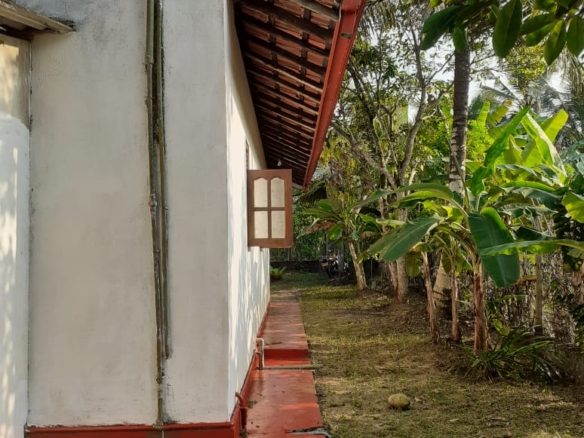 WhatsApp Image 2021 03 16 at 12.23.39