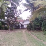 WhatsApp Image 2021 03 16 at 3.39.11 PM