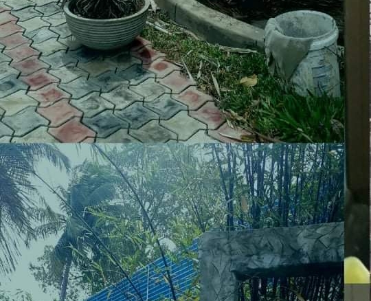WhatsApp Image 2021 03 20 at 10.00.26 AM 2
