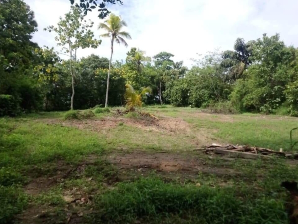 WhatsApp Image 2021 03 25 at 11.29.27 AM 2