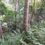 WhatsApp Image 2021 03 25 at 16.12.16 1