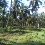 WhatsApp Image 2021 03 30 at 12.10.58 1