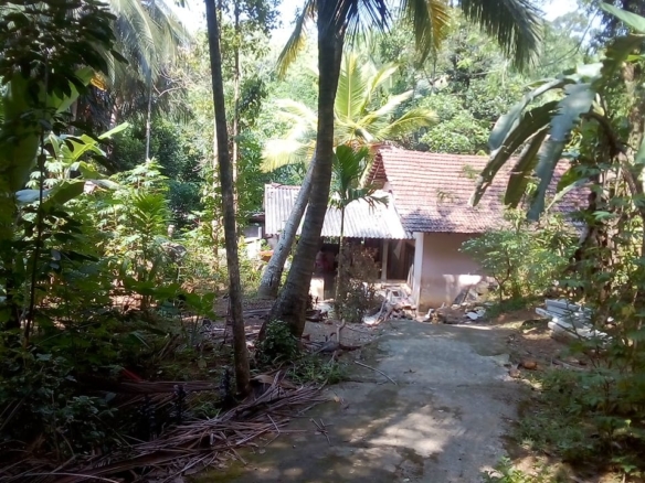 WhatsApp Image 2021 03 31 at 09.50.42