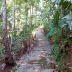 WhatsApp Image 2021 03 31 at 09.52.27