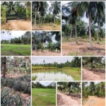 a6311926 4639 43d3 b2d7 49fb39484537