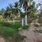 ad87af19 bfb1 49b9 80b6 f6c3fe61c251