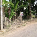 WhatsApp Image 2021 04 09 at 8.41.42 AM 1