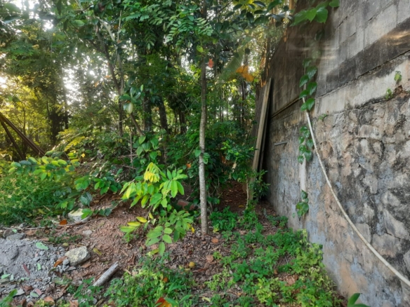 WhatsApp Image 2021 04 27 at 17.26.18 1