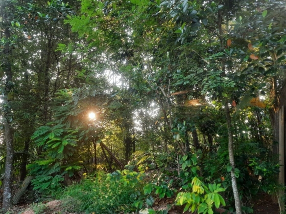 WhatsApp Image 2021 04 27 at 17.26.18