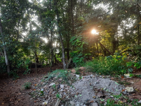 WhatsApp Image 2021 04 27 at 17.26.19