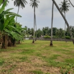 WhatsApp Image 2021 04 27 at 21.10.38 1