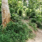 WhatsApp Image 2021 04 28 at 11.14.27 AM 1