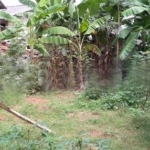 WhatsApp Image 2021 05 07 at 10.10.46 AM